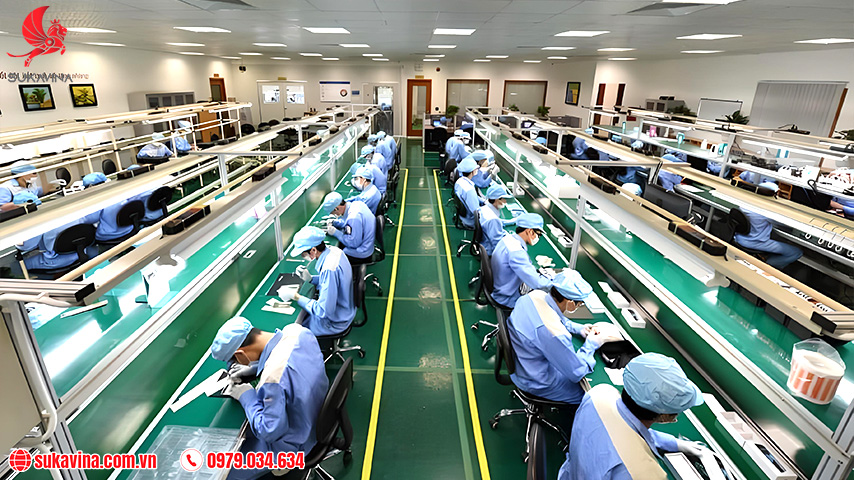 Băng tải PVC 5
