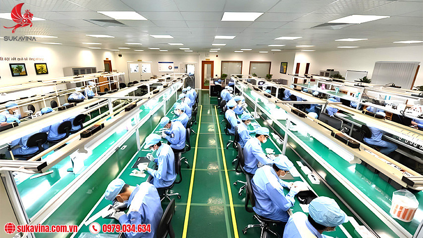 băng tải thực phẩm