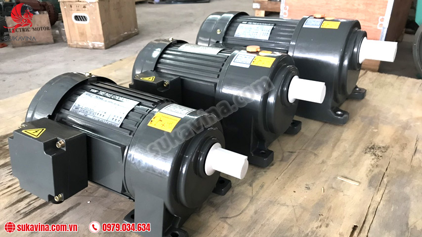 Động cơ băng tải Conveyor motor