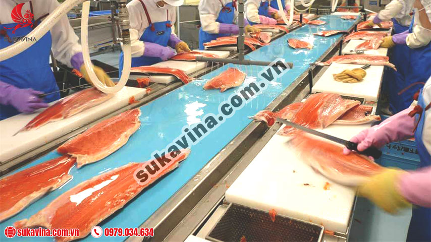 What is a Food Conveyor?