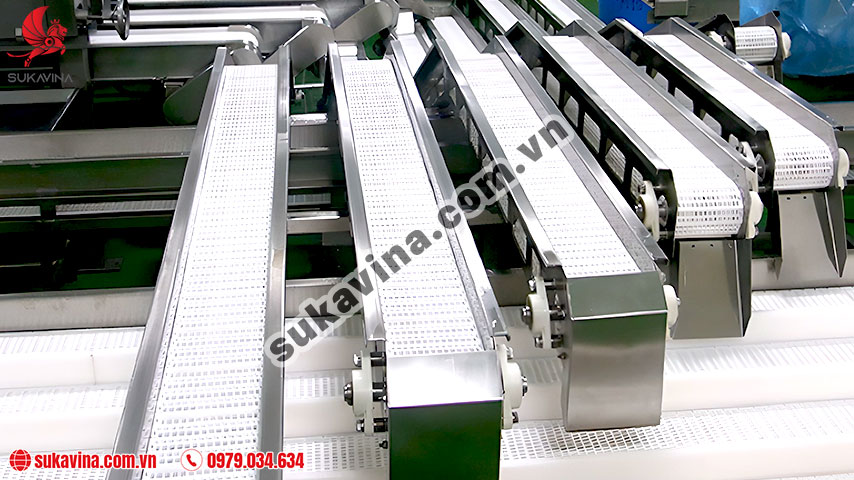 There are different types of food conveyors
